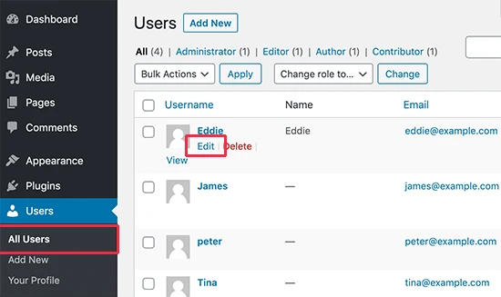 Editing a user details in WordPress